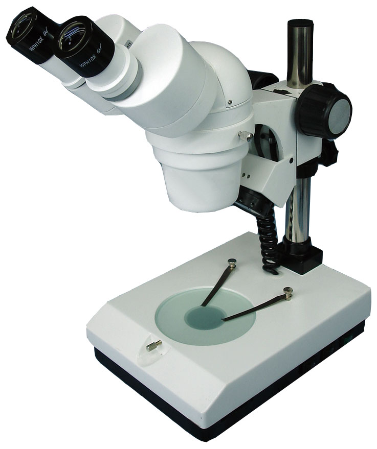 XT+3141A Stereo Microscope