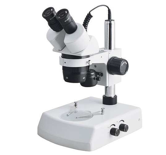 Stereo Microscope