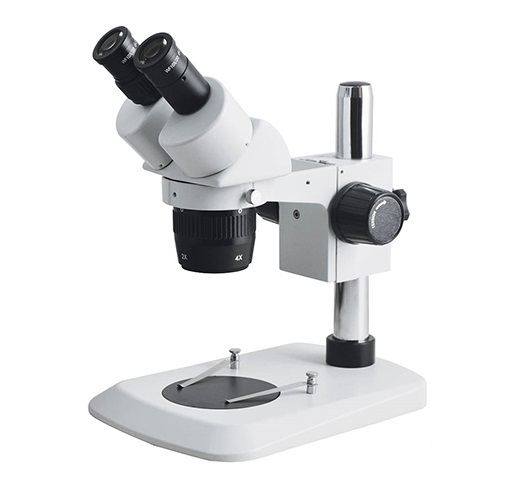 Stereo Microscope