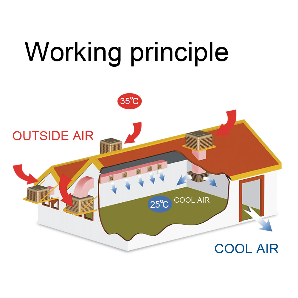 Evaporative Air Cooler / Industrial Air Conditioner