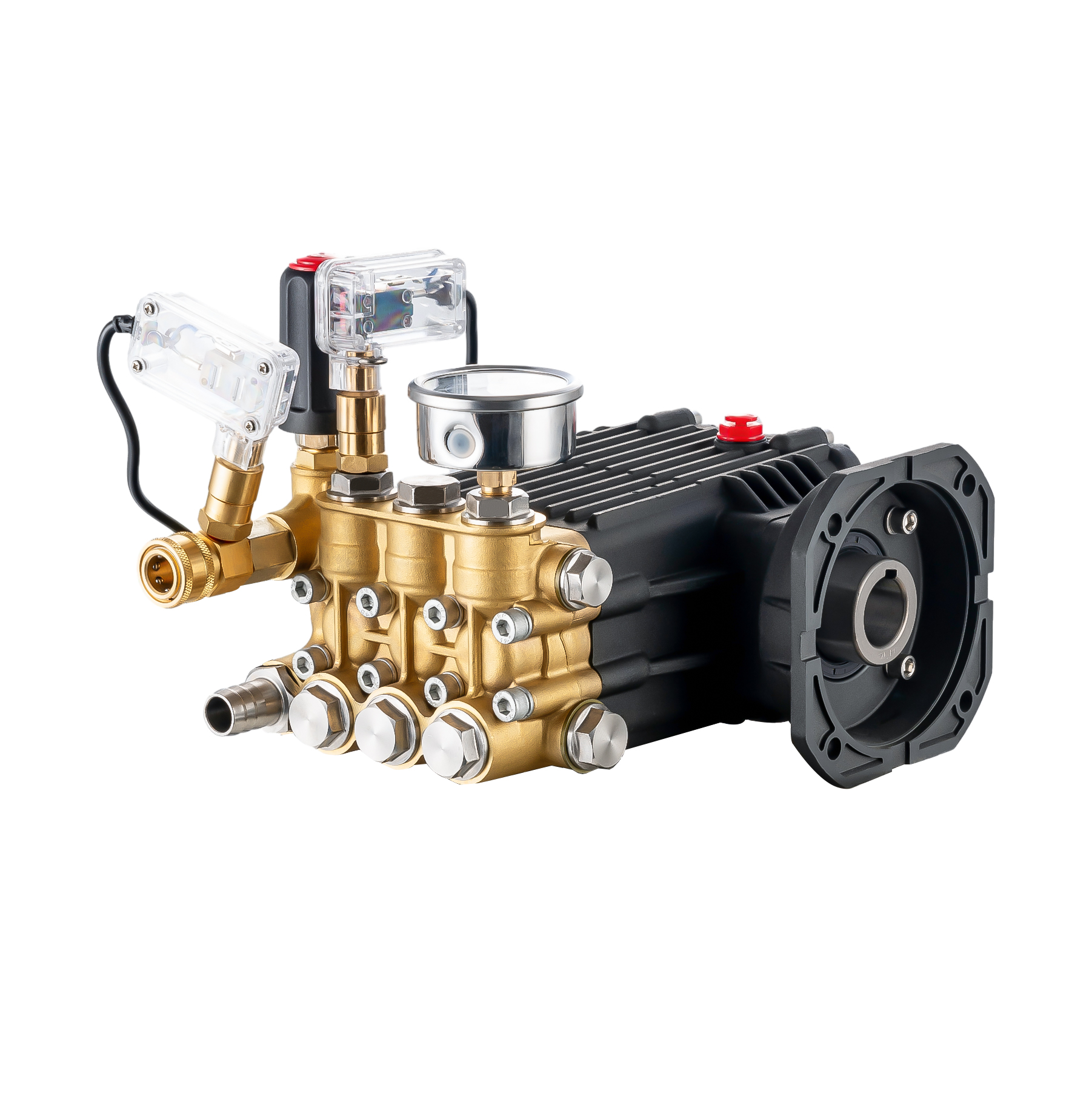 High-Pressure Plunger Pump with Versatile Attachments