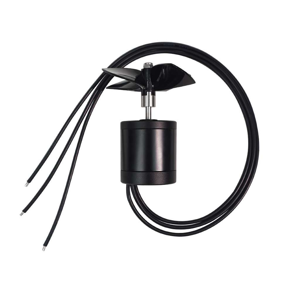 Flipsky 4650 Waterproof Motor 900W