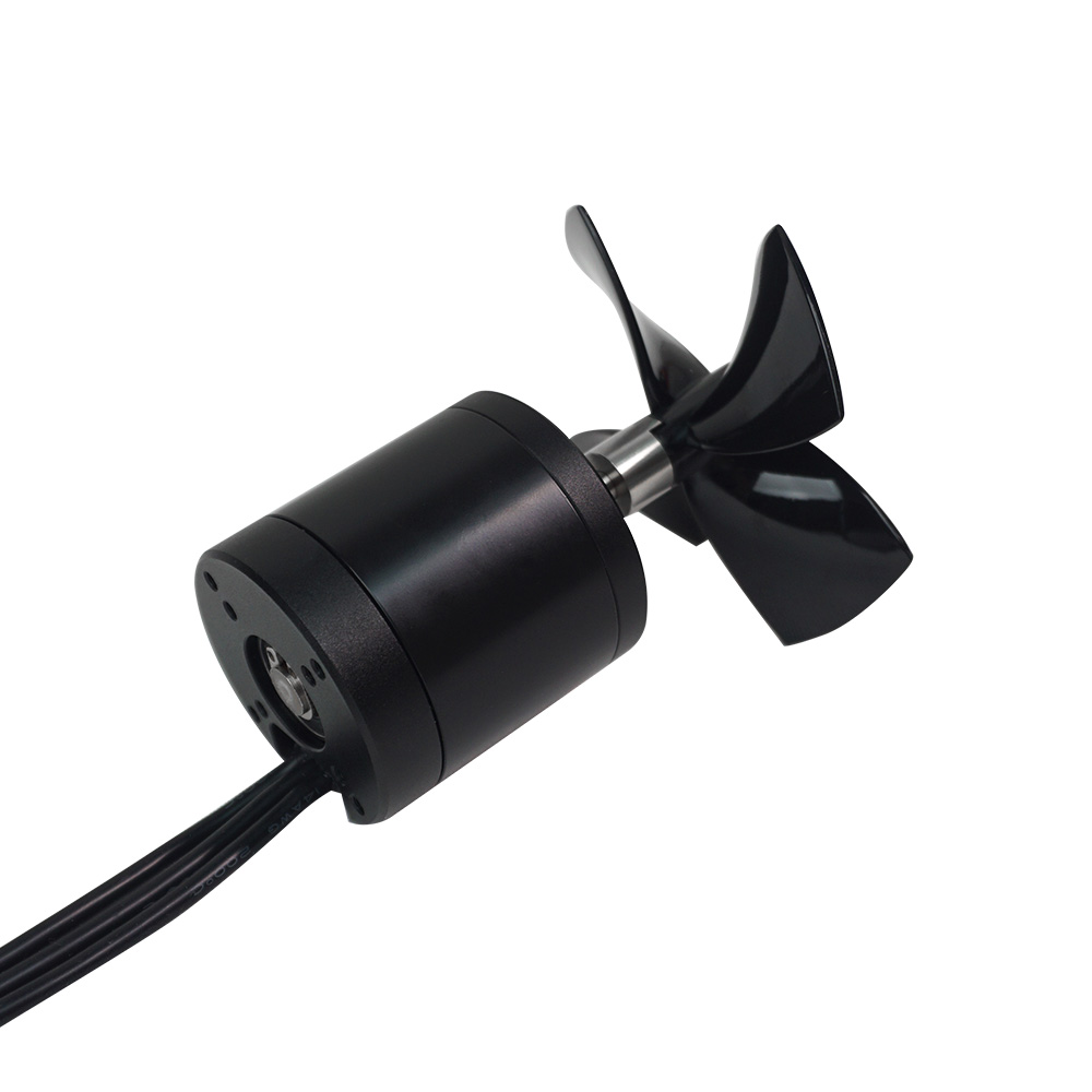 Flipsky 4650 Waterproof Motor 900W