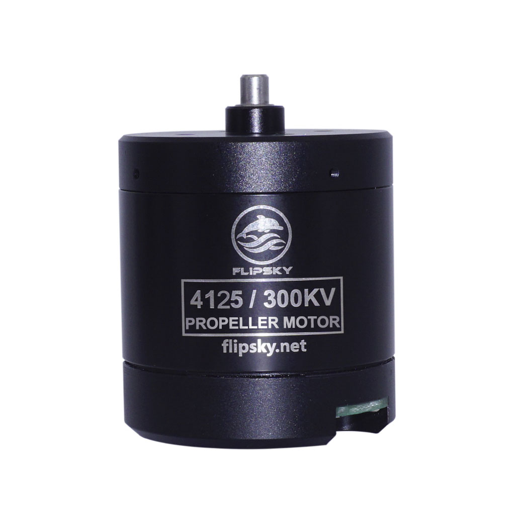 F4125 DC Waterproof Motor