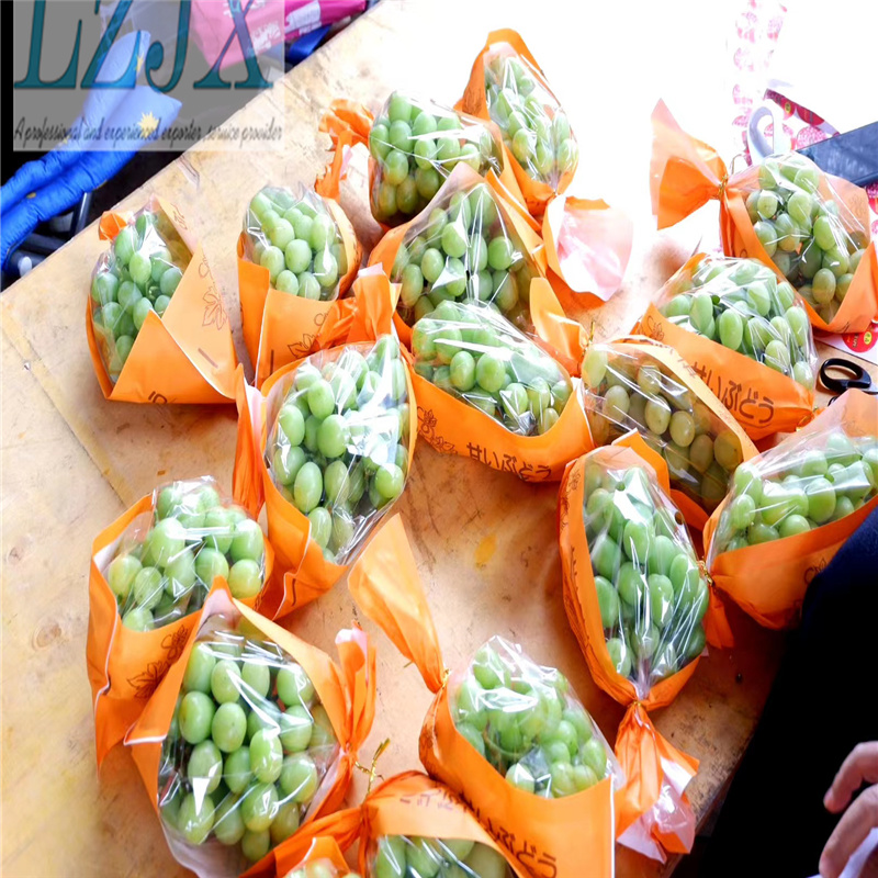 Canton Fair product