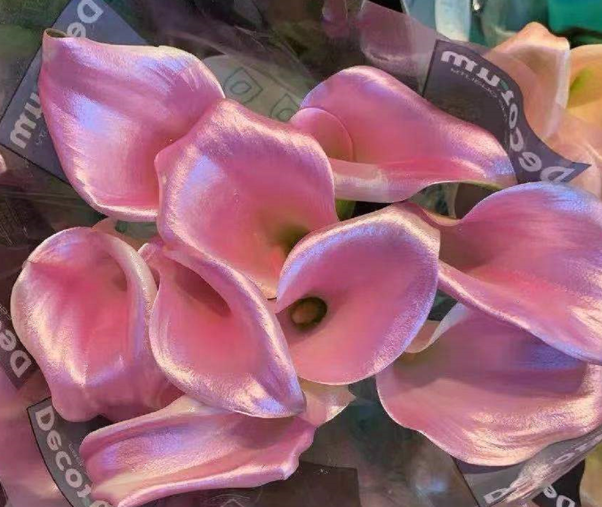 Aeropak 400ml Aerosol Floral Spray Paint for Fresh Flowers