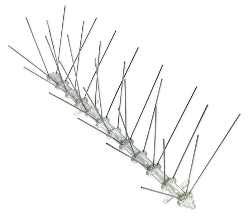 Bird Spikes for Buildings and Food Factories