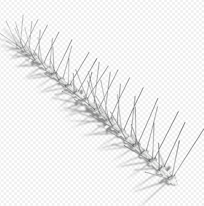 Bird Spikes for Buildings and Food Factories