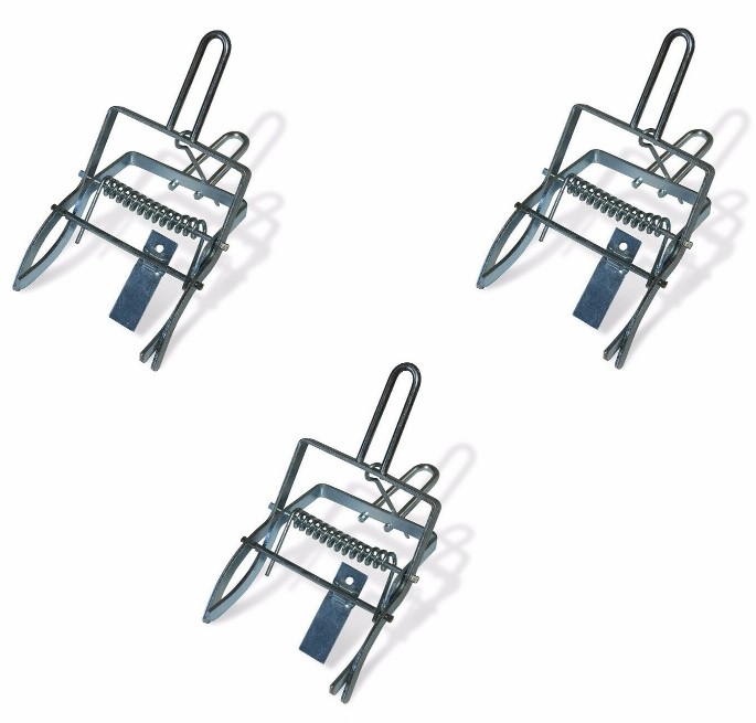 Canton Fair product