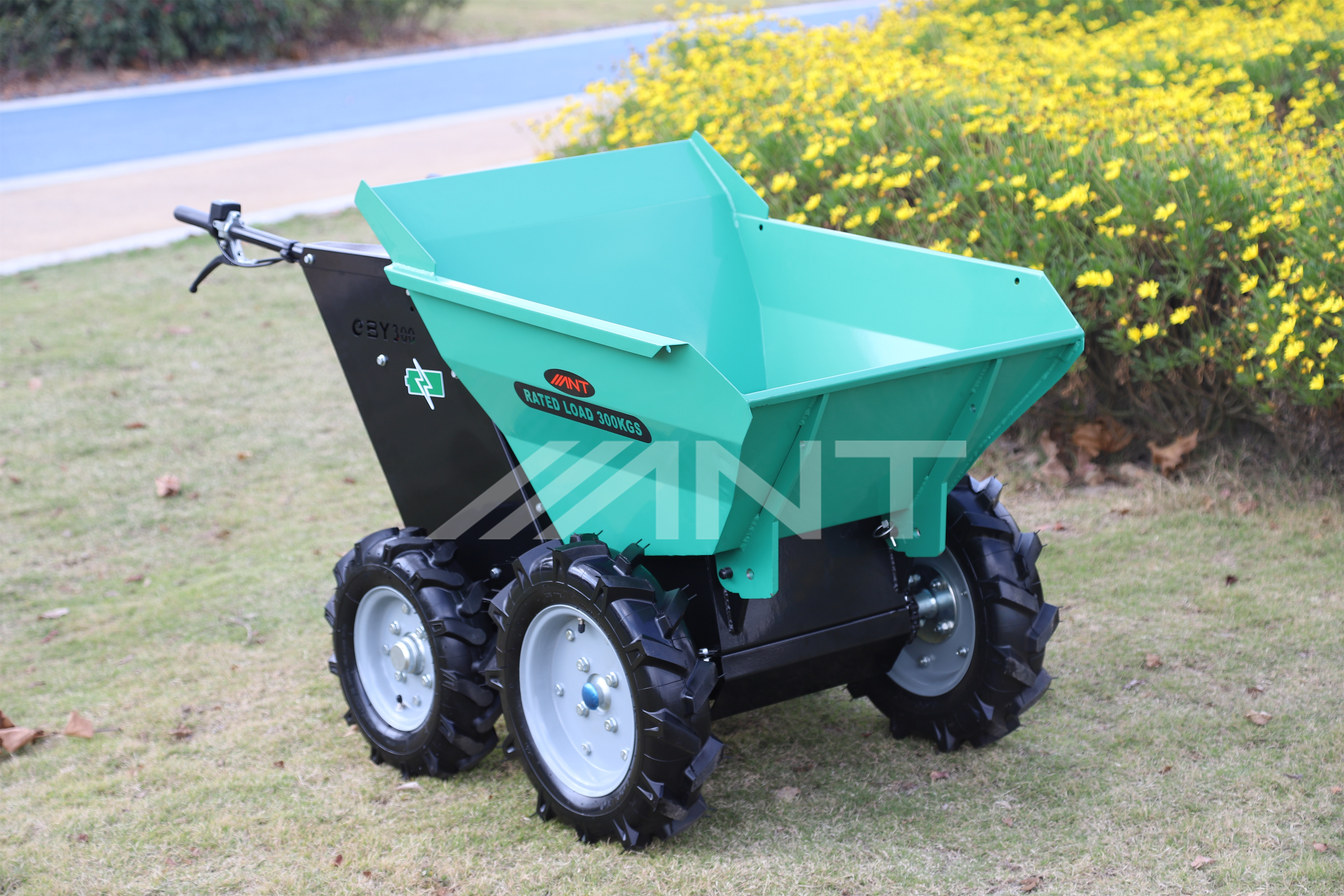 Energy-saving Electric Power Barrow EBY300