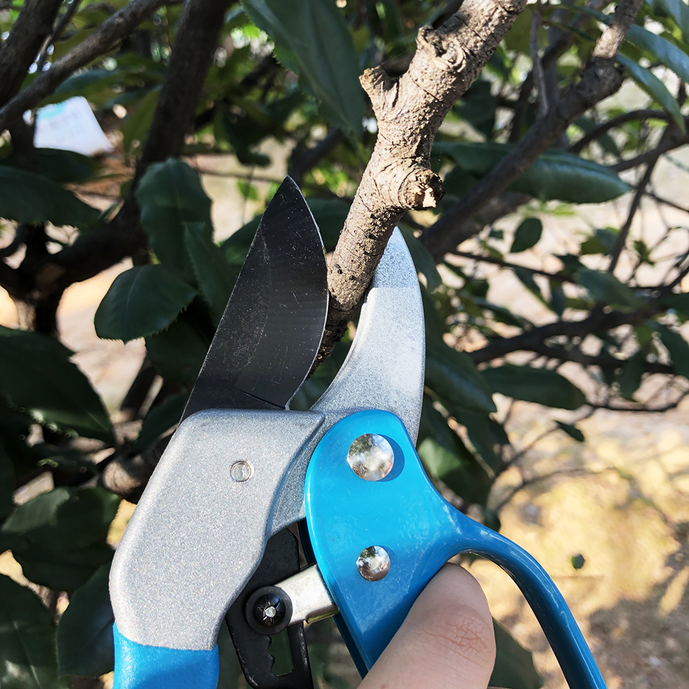 Bypass Pruner Ratchet Hand Secateurs