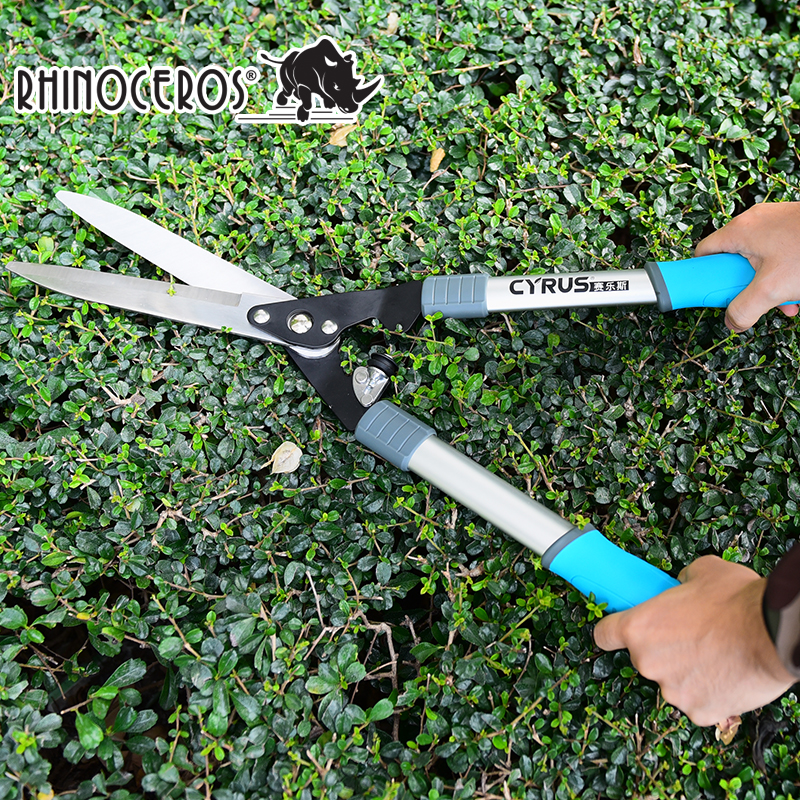 Hedge Shears