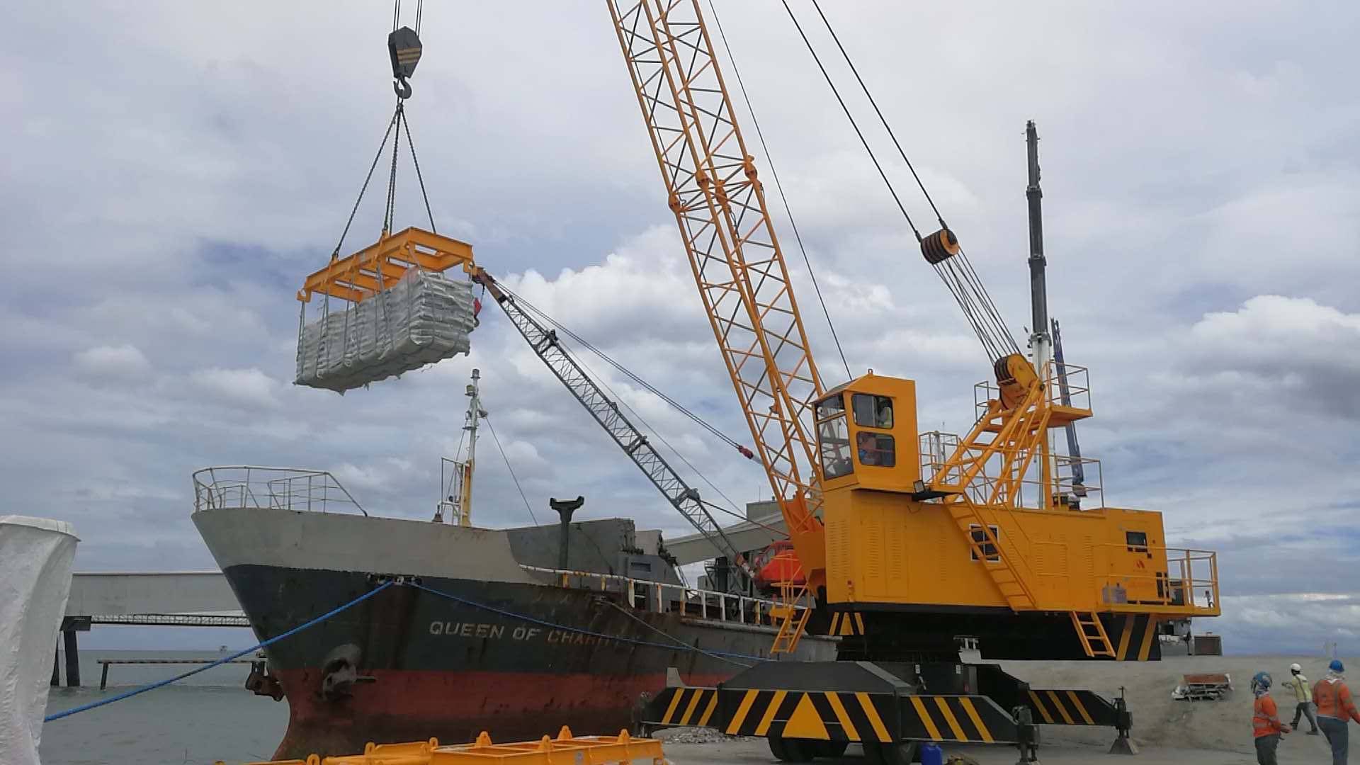 YIER Electric Tyre-Mounted Mobile Crane for Port Operations