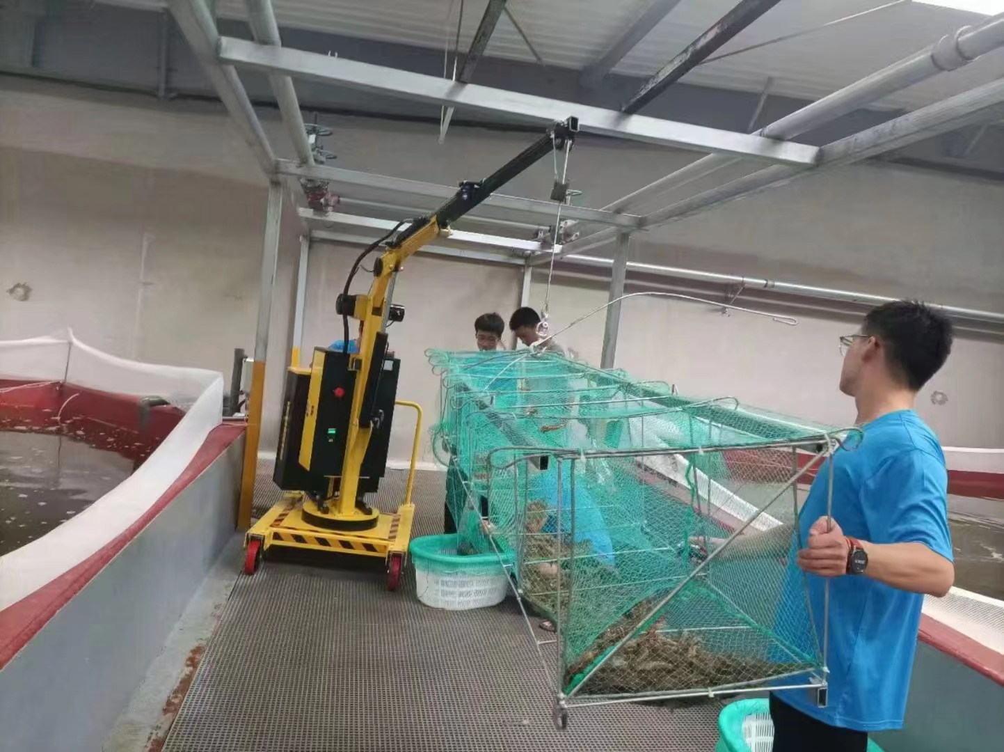 Dibo ZX-400-BZ Small Electric Mini Crane