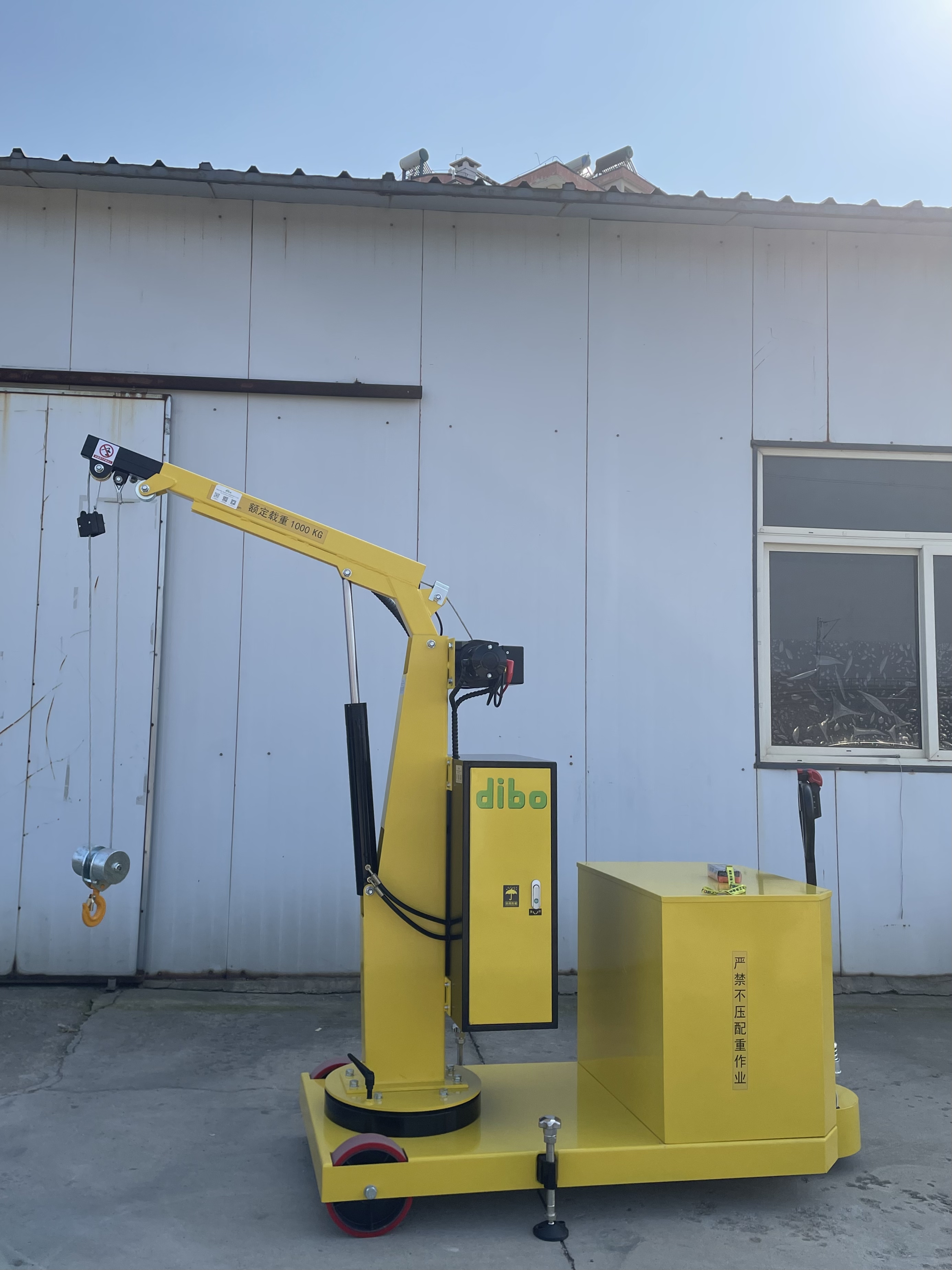 Dibo ZX-1000-OBDD Small Electric Crane