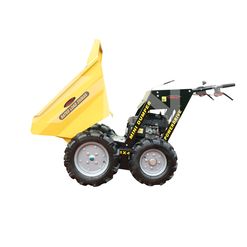 ANT 250kg Portable Dumper with Multi-functional Accessories