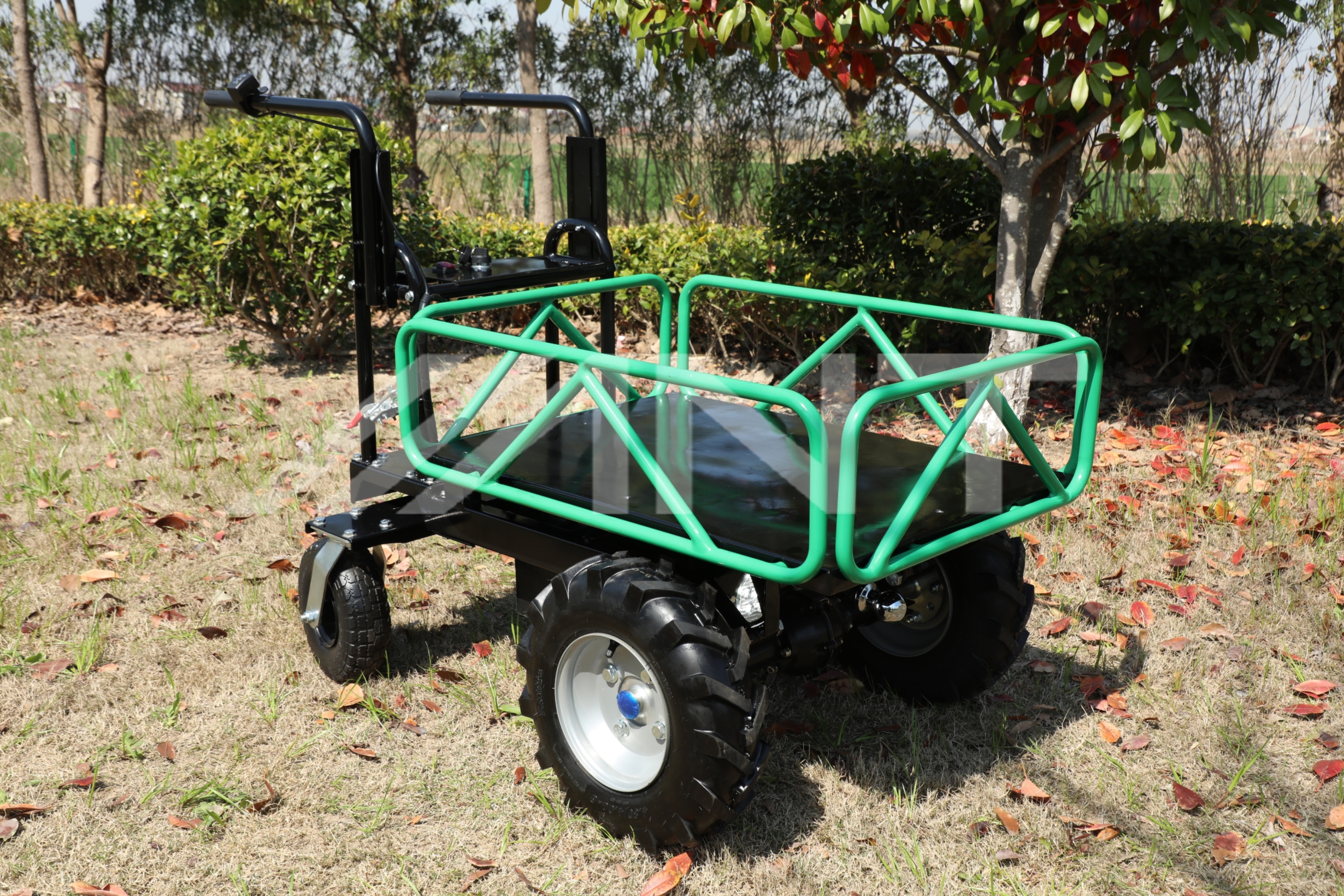 ANT Electric Small Dumper Loader, 300kg Load Capacity