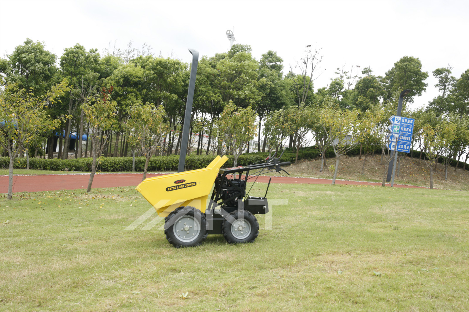 ANT 350kg Small Wheeled Dumper
