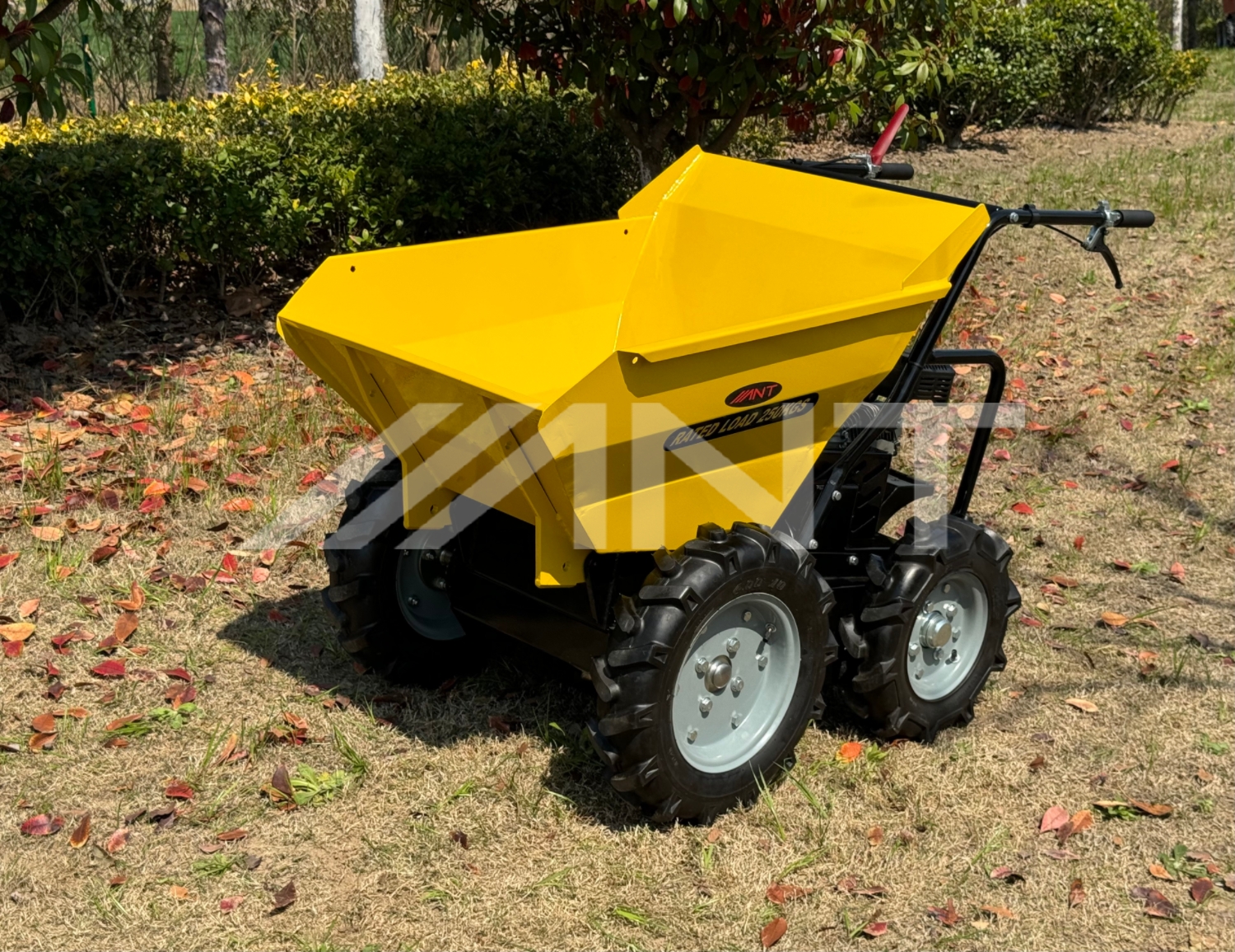 ANT 250 kg Load Capacity Small Lightweight Power Barrow