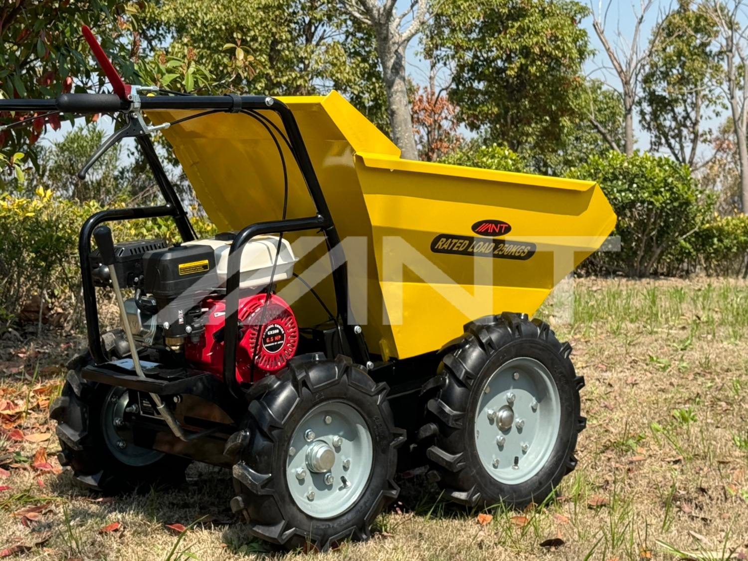 250 kg Load Capacity Lightweight Power Barrow