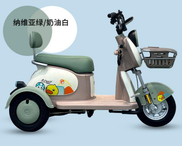 Electric Bicycle and Scooter