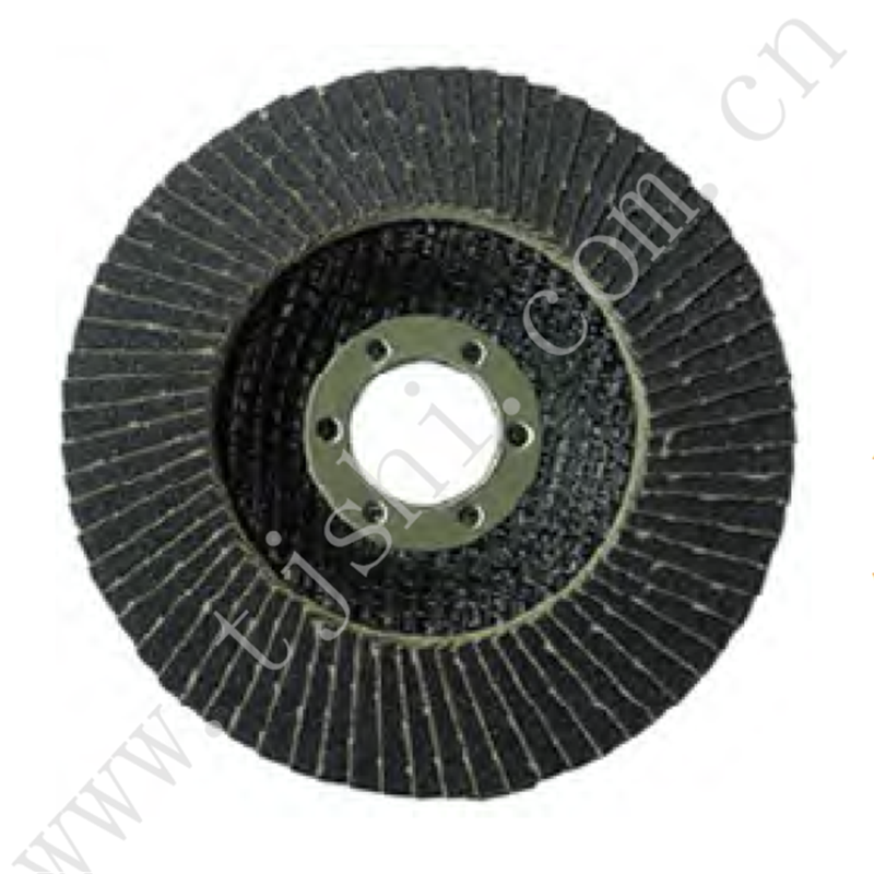 Flap Disc