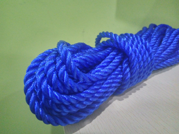 Dongtalent PP Monofilament Rope - Blue