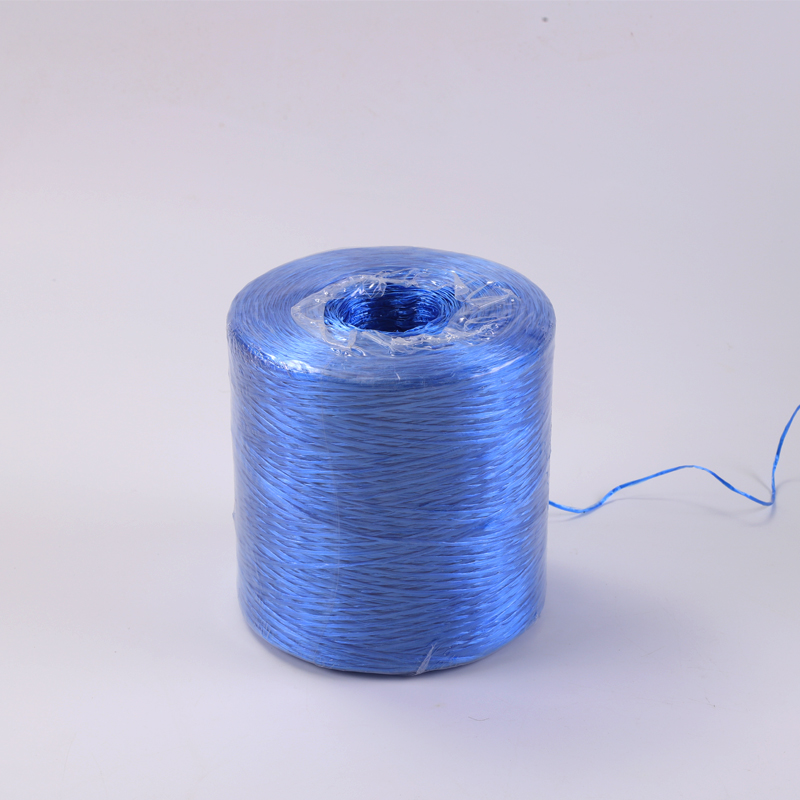 Hot Sale Polypropylene PP Baler Twine for Agricultural Use
