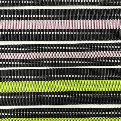 Polyester Webbing Strap