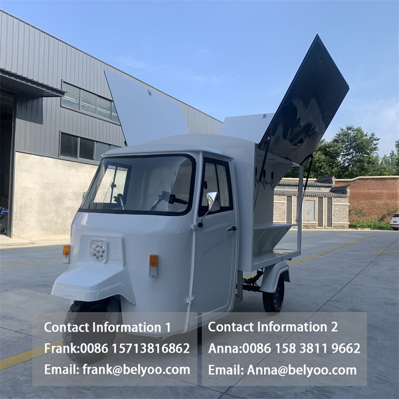 Customized Color Logo Piaggio Ape Electric Food Truck Tricycle