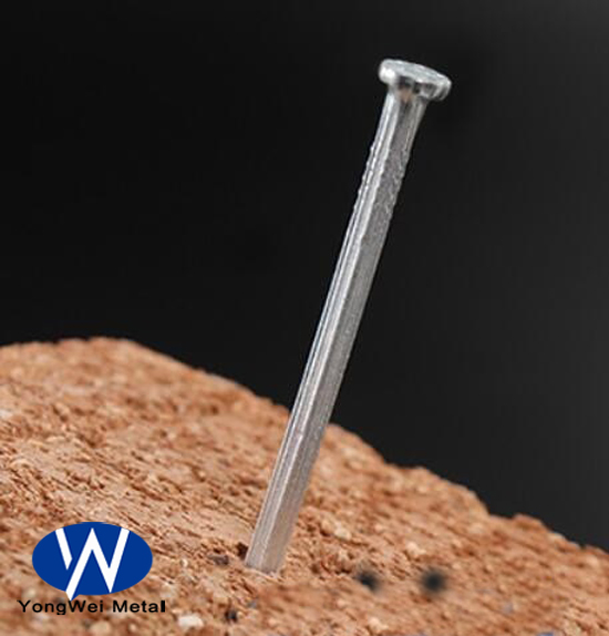 Galvanized Concrete Steel Nails