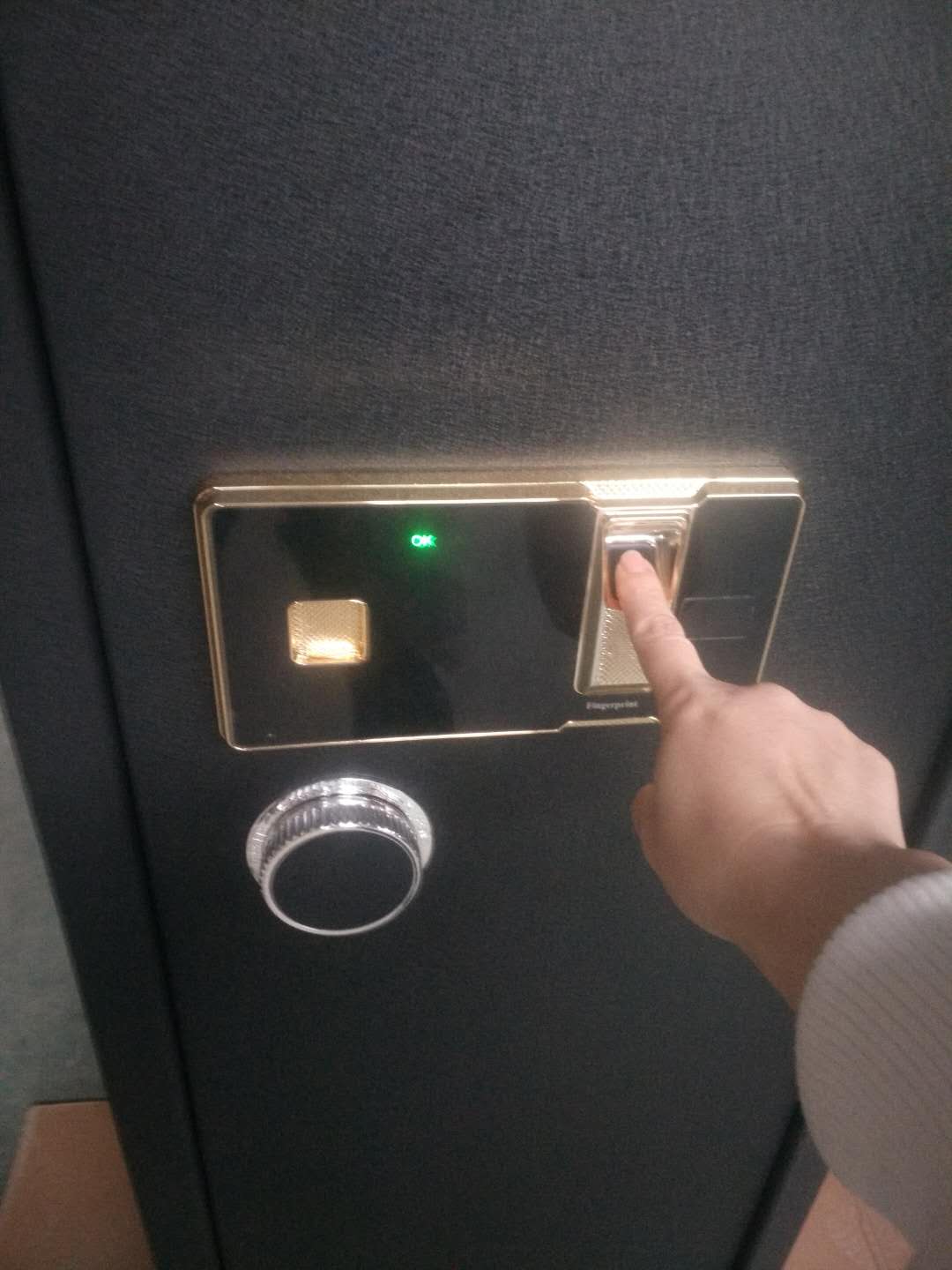 Fingerprint Gun Cabinet