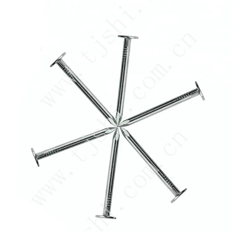 Roofing Nails