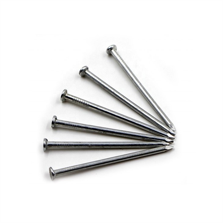 Polished Common Nails