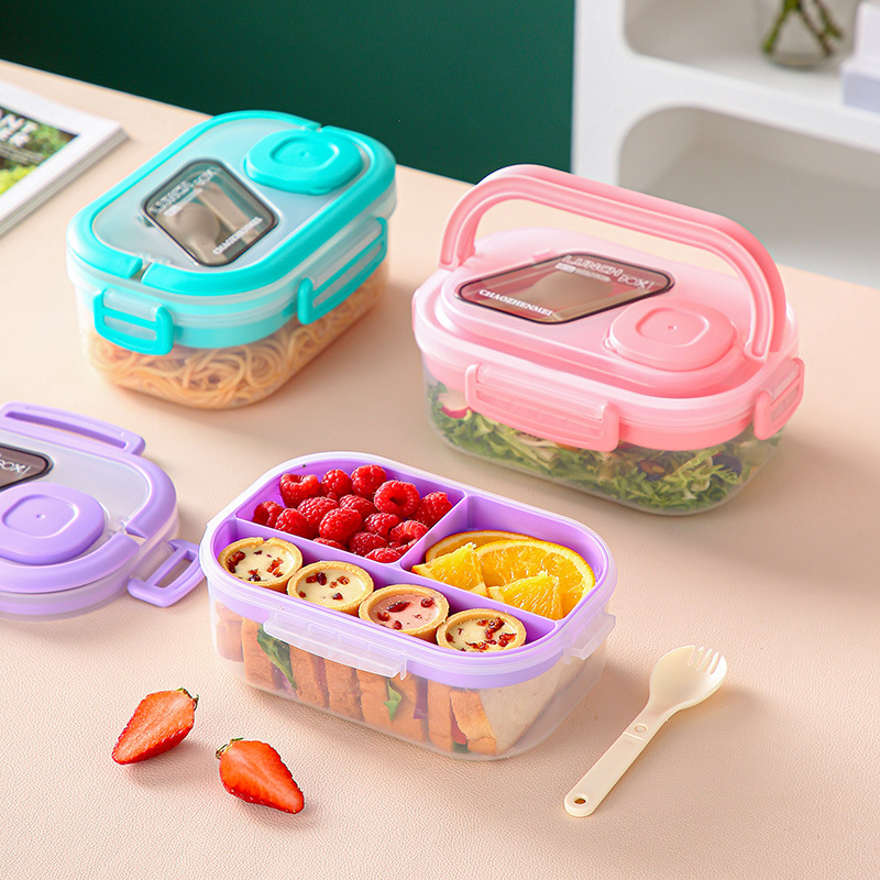 Portable Double-Layer Sealed Picnic Salad Lunch Box