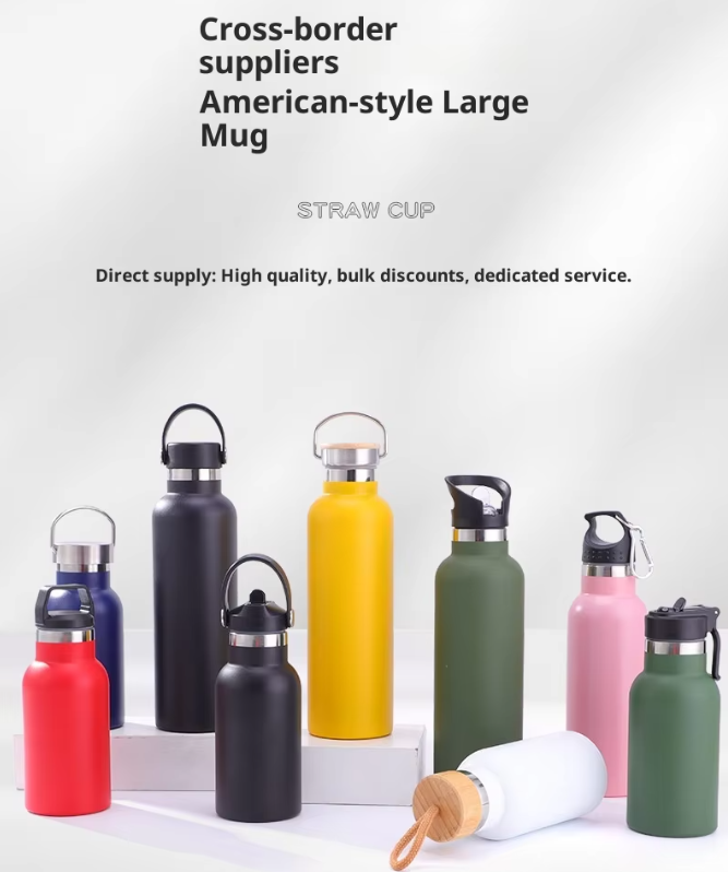 Portable Stainless Steel Water Bottle with Handle Cap