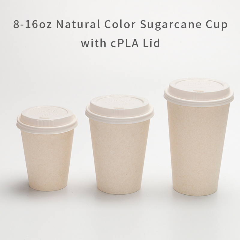 Sugarcane cup