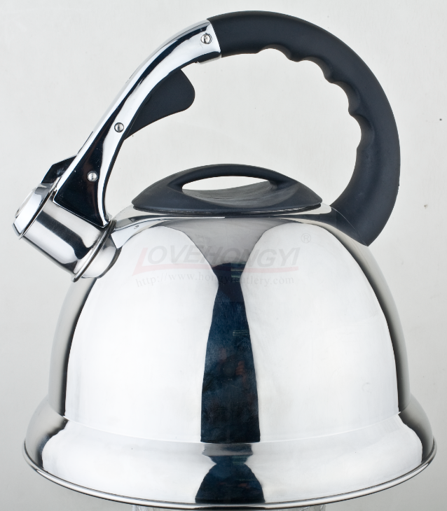Stainless Steel Whistling Tea Kettle