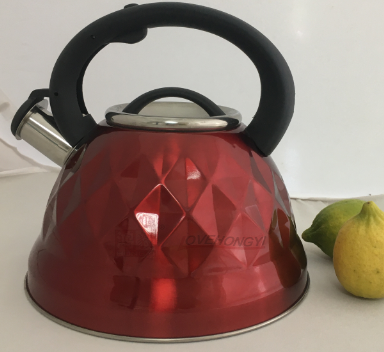 Stainless Steel Whistling Tea Kettle