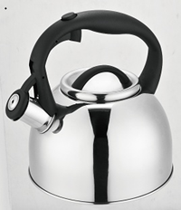 Stainless Steel Whistling Tea Kettle