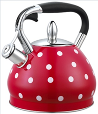 Stainless Steel Whistling Tea Kettle
