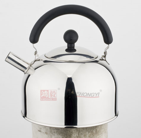 Stainless Steel Whistling Tea Kettle