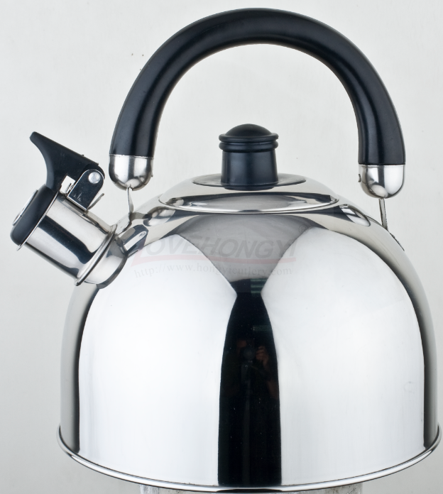 Stainless Steel Whistling Tea Kettle