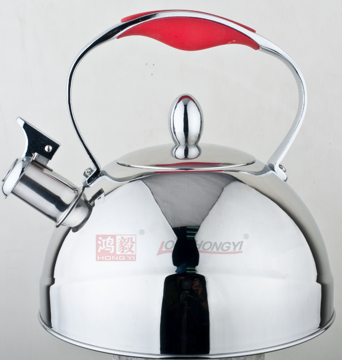 Stainless Steel Whistling Tea Kettle