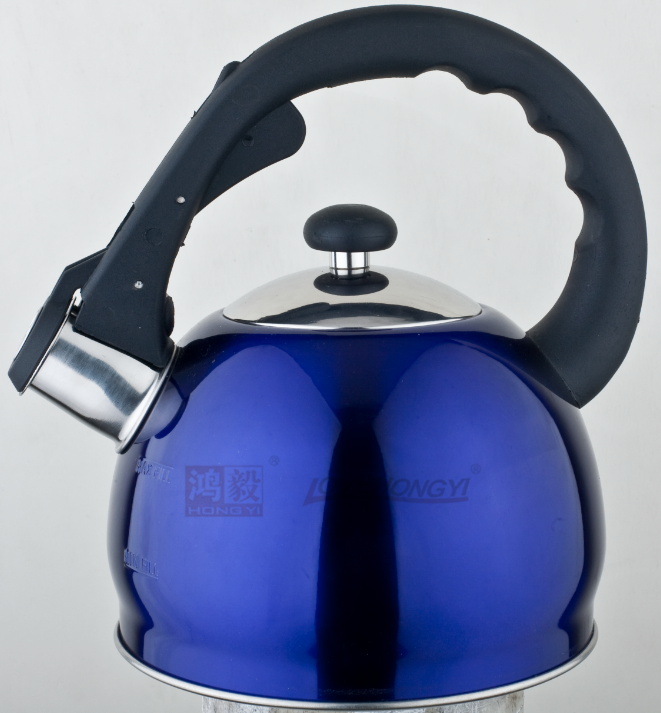 Stainless Steel Whistling Tea Kettle
