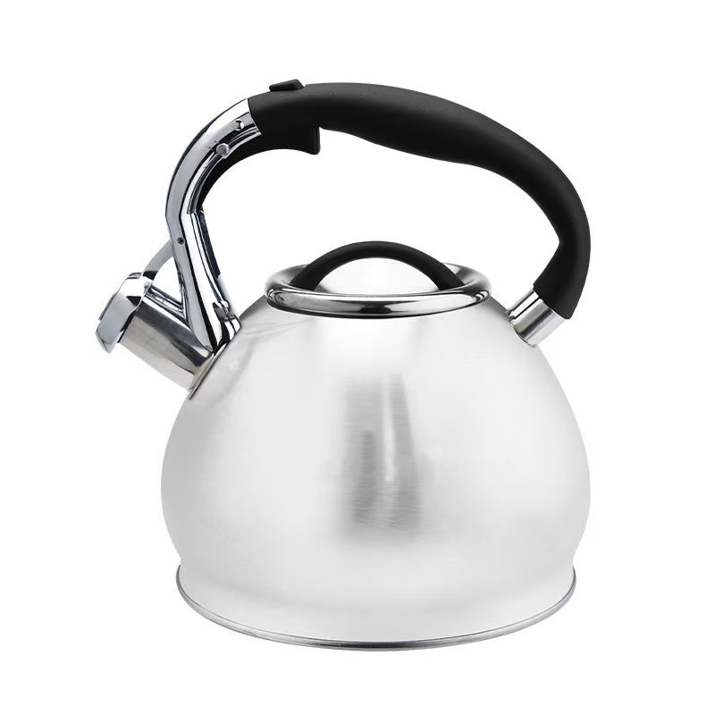 Stainless Steel Whistling Tea Kettle