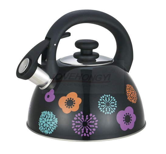 Stainless Steel Whistling Tea Kettle