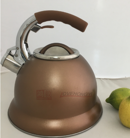 Stainless Steel Whistling Tea Kettle