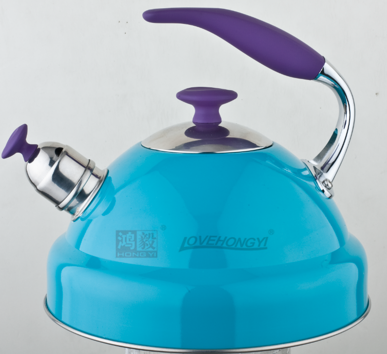 Stainless Steel Whistling Tea Kettle