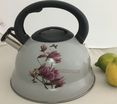 Stainless Steel Whistling Tea Kettle